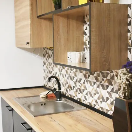 Lion King Lesya Ukrainka * Lviv