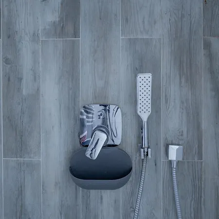 شقة Lion King Lesya Ukrainka *