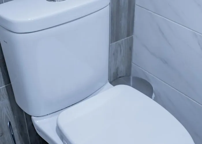 Lion King Lesya Ukrainka Lvov