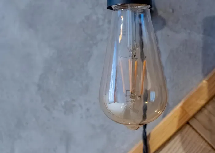 Apartament Lion King Lesya Ukrainka *